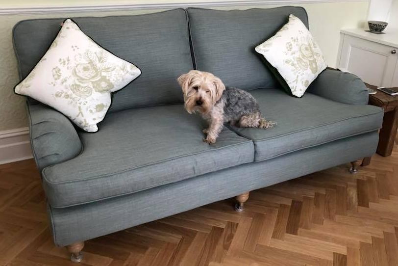 Multiyork Furniture Covers - dog sat on sofa